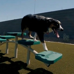 Instagram post from @spuraptshenderson on May 08, 2024 00:00:00am